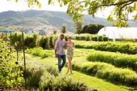 Napa Valley Lodge - Romantic