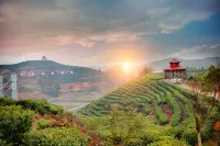Tangli Hotel Hotels in Tonggu County