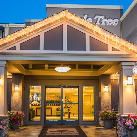 Maple Tree Inn