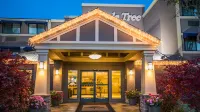 Maple Tree Inn Hotel a 