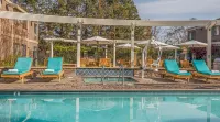Maple Tree Inn - Rooftop Pools