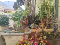 Zangdi Sunshine Inn - Inns