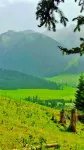 Qiongkushitai Rugu Homestay Hotels near Jonkushitai Village