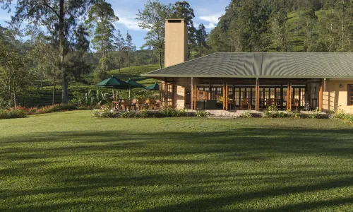 Ceylon Tea Trails - Relais and Chateaux