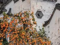 婺源篁嶺清源居美宿 鄰近婺源篁嶺景區-3號觀景台的酒店