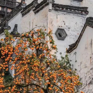 Yunshuju Guesthouse (Wuyuan Muling) Hotels near Wuyuan Huangling