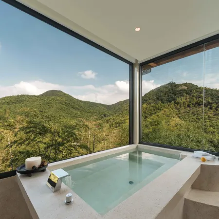 Anji Fanyin · Hillside Wilderness Luxury Private Hot Spring Mountain Stream Holiday Villa