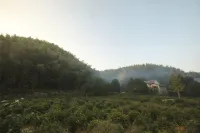 池州祕境秋浦仙居民宿 - 山景