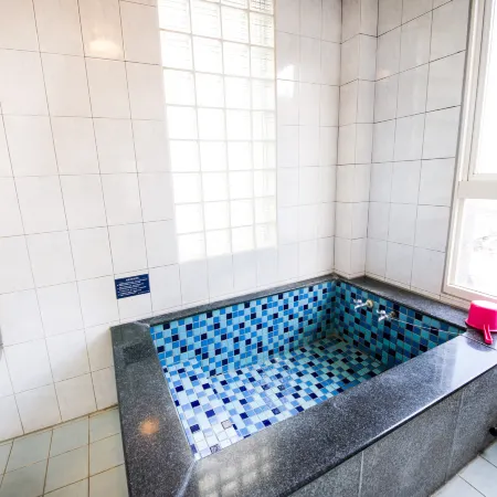 Aoike Hot Spring Hotel