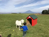 Base Shiraoi - Pet friendly