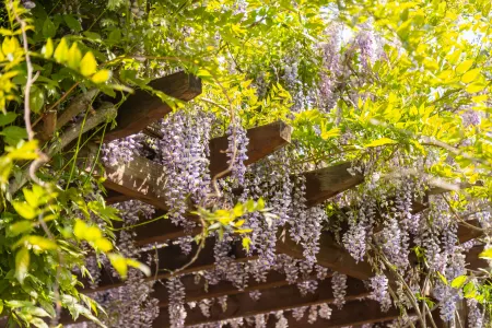 Cute pet parent-child hotel (Beidaihe Tiger Stone Sea Park) Отели рядом со станцией Beidaihe Railway Station