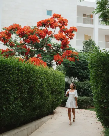 Hyatt Regency Aqaba Ayla Resort