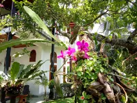 Unawatuna Villa Bird Nest - Mountain view