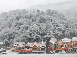 โรงแรมบ่อน้ำพุร้อนเฟิร์สฟอเรสต์ ฟลาวเวอร์เบย์