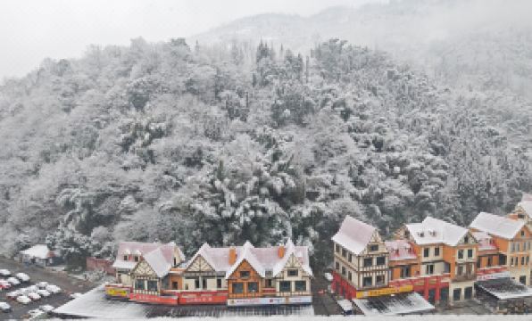 First Forest Hot Spring Hotel FLOWER BAY
