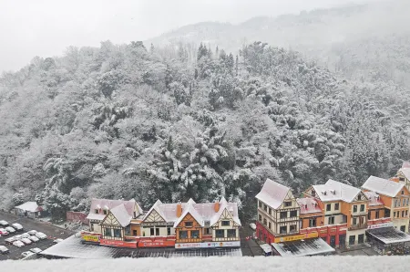 First Forest Hot Spring Hotel FLOWER BAY