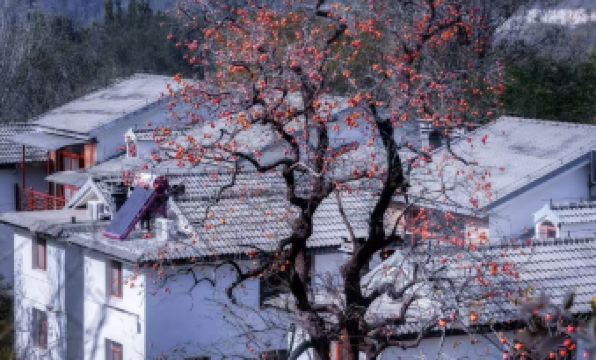 Ramada Encore by Wyndham Linqu Downtown