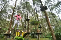 Kopeng Treetop Cabin Adventure Park