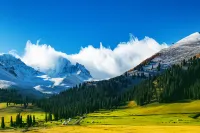 Nala Cloud-Herding Boutique Homestay - con vista montagne