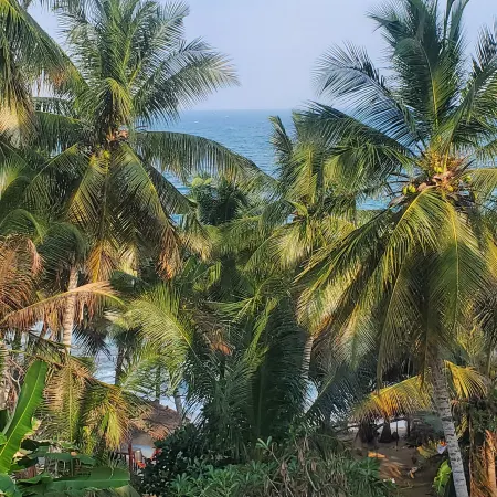 Rocky Point Beach Front Pool Resort