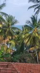 Rocky Point Beach Front Pool Resort