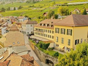 Châtonneyre Corseaux Lavaux - Hôtel Café Restaurant