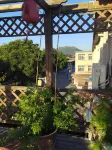 Xingcheng Old Town Guesthouse