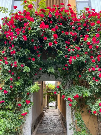 Fusheng Banri Hostel Отели рядом с достопримечательностью «Crown Cave»