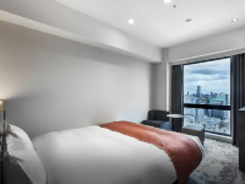 DEL style Osaka-Shinsaibashi by Daiwa Roynet Hotel Hotels in Osaka