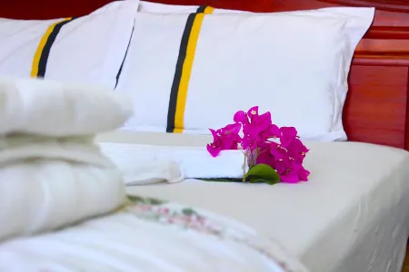 Quoc Dinh Guesthouse Отели рядом с достопримечательностью «Fairy Stream»