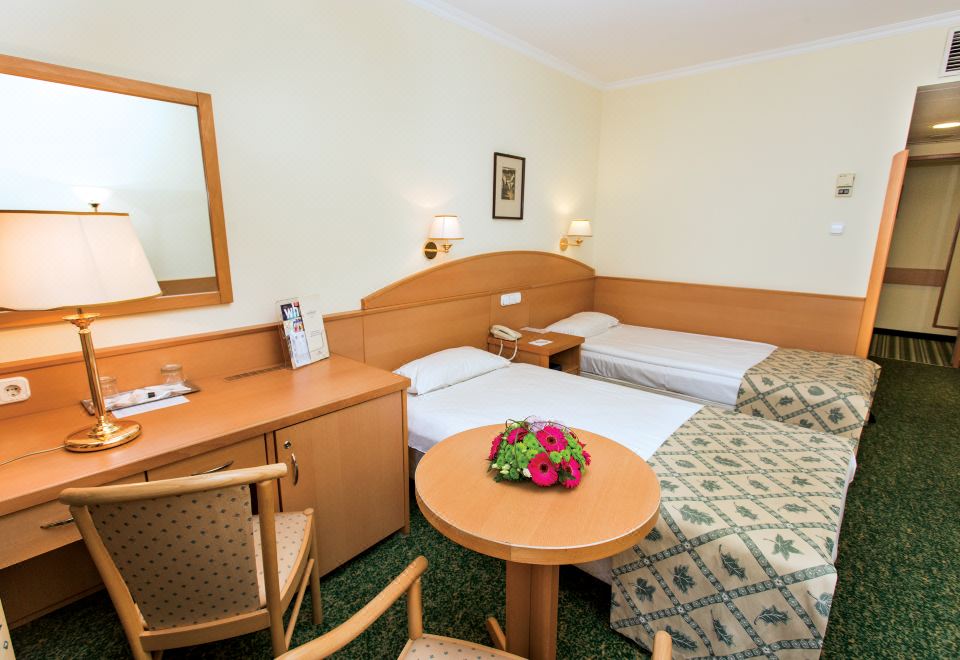 Hotel Erzsebet City Center Over view