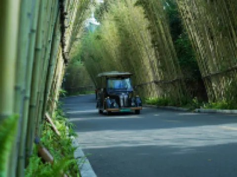 崇左花山キャンビューティー リゾート アンド スパリゾート 寧明のホテル