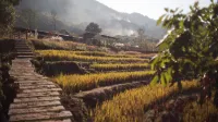 Ji Yun Yao Resort