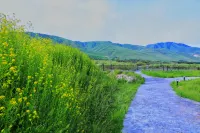 SHEJING Homestay - Bjergudsigt