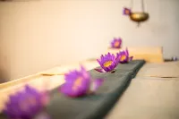 Club Palm Bay - spa
