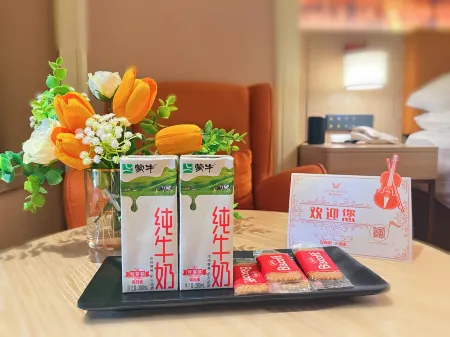 Vienna Hotel (Longhua Yicheng Center Yousong Branch))