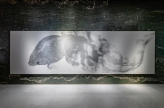 Pearl Gallery Hotel Guiyang