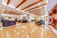 Lanfeng Hotel - Barer