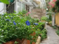 페킹 가든 호텔 베이징 시단