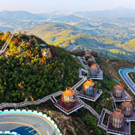 Juanniaoguichao · Luyunnami Time Camp (Zhaijishan)