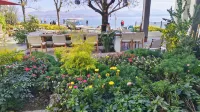 Dali Pear Blossom Sea View Homestay