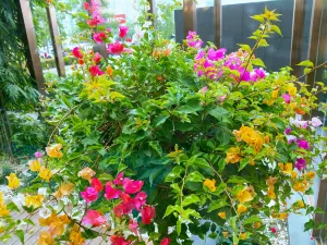 悅儷花園飯店（襄陽民發商業廣場店）