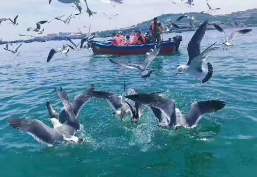 2. 르드림 리조트 ..