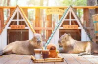 Changzhou Maoshan Forest World Camping Base