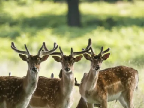 Xining Yunshang Qunjia Jinling Landscape Hotel