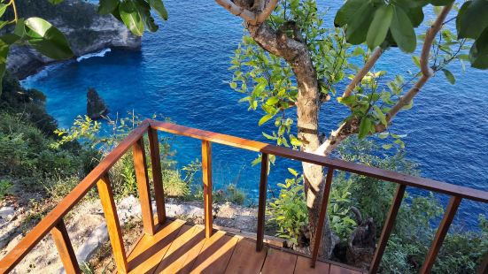 Eco-Tourist Dreamstay Cliff Tree House