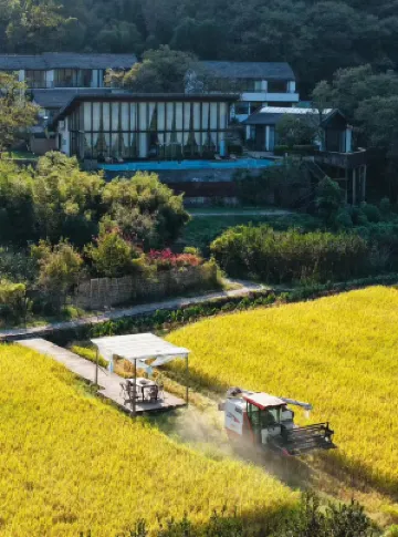 沐格山居（紹興覆卮山店） 鄰近捉鹿豎罔的酒店