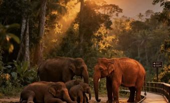 Xishuangbanna Jinghong Xichishangwan · Leisure Resort Hotel