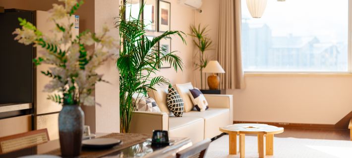 Xuelu Zhenxuan Qingshan Homestay Hotels in Jilin City