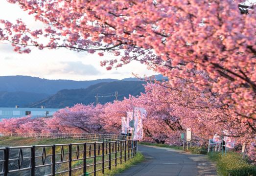 야이즈 호텔 경관